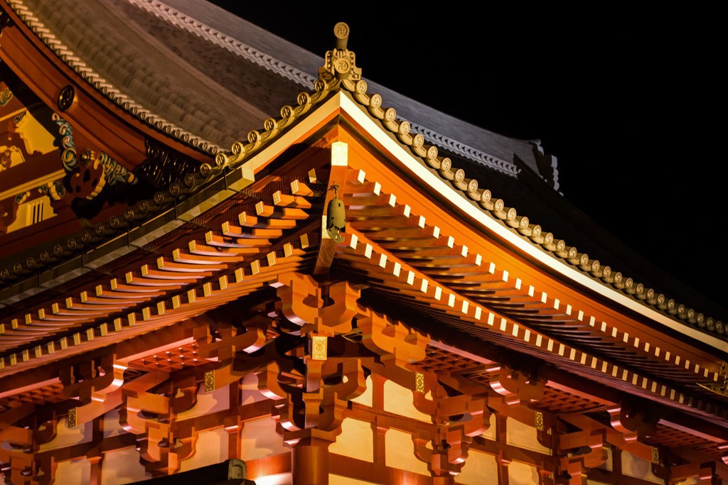 Century-Long Roofing: Add Pure Titanium Plates for Unmatched Durability