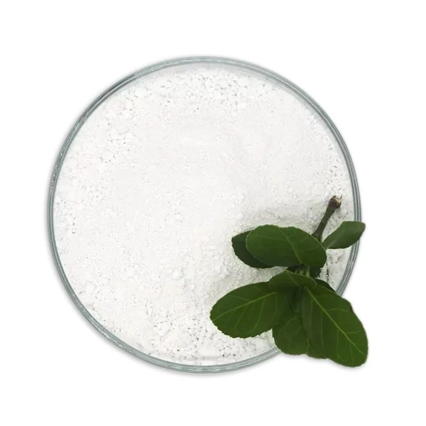 Titanium Dioxide Powder1